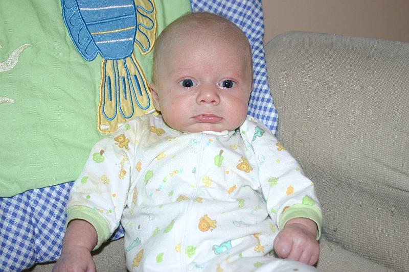 Picture 4356.jpg
